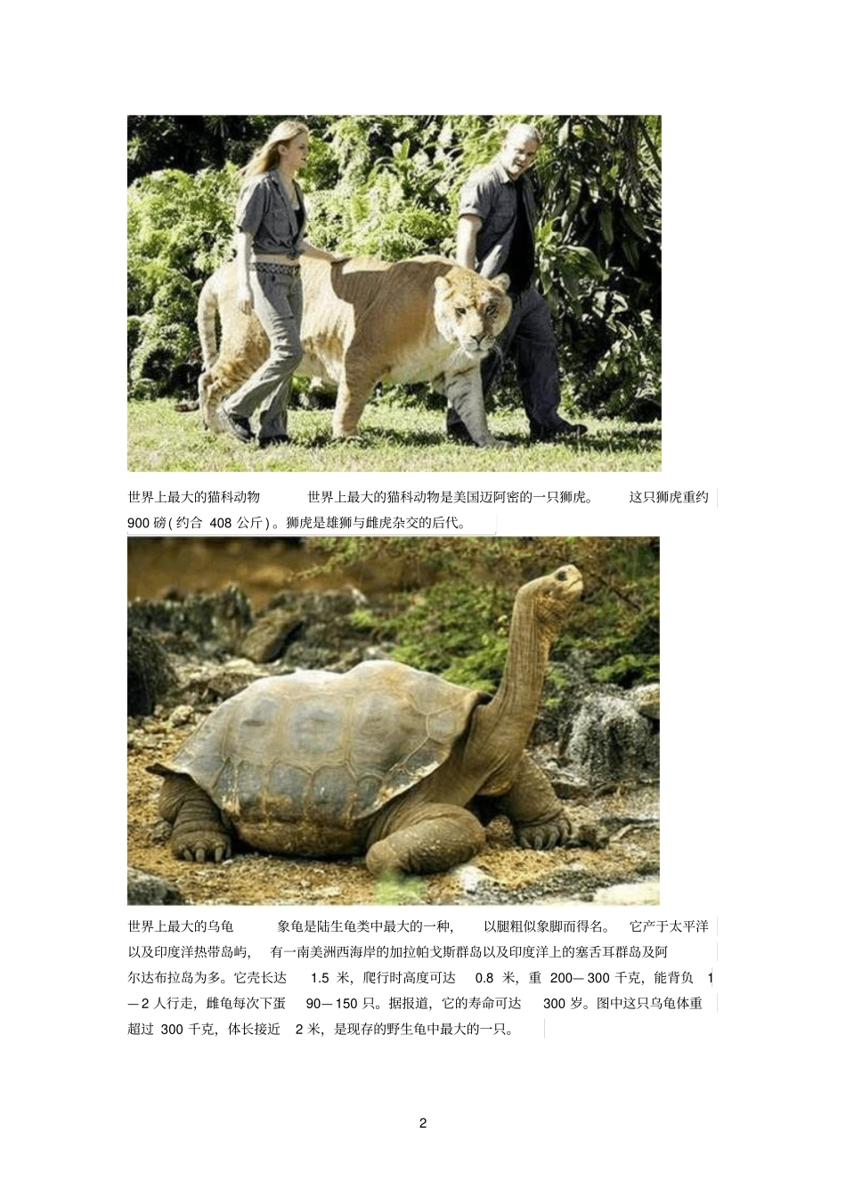 世界上16只最大的动物_第2页