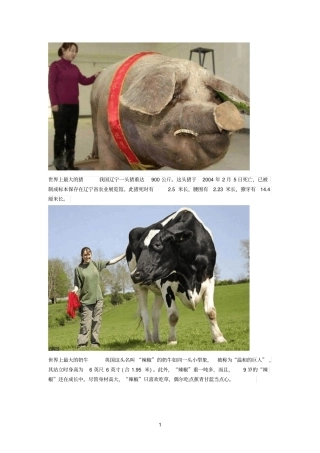 世界上16只最大的动物