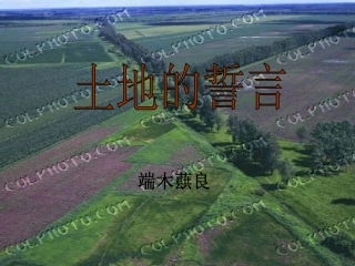 土地的誓言课件