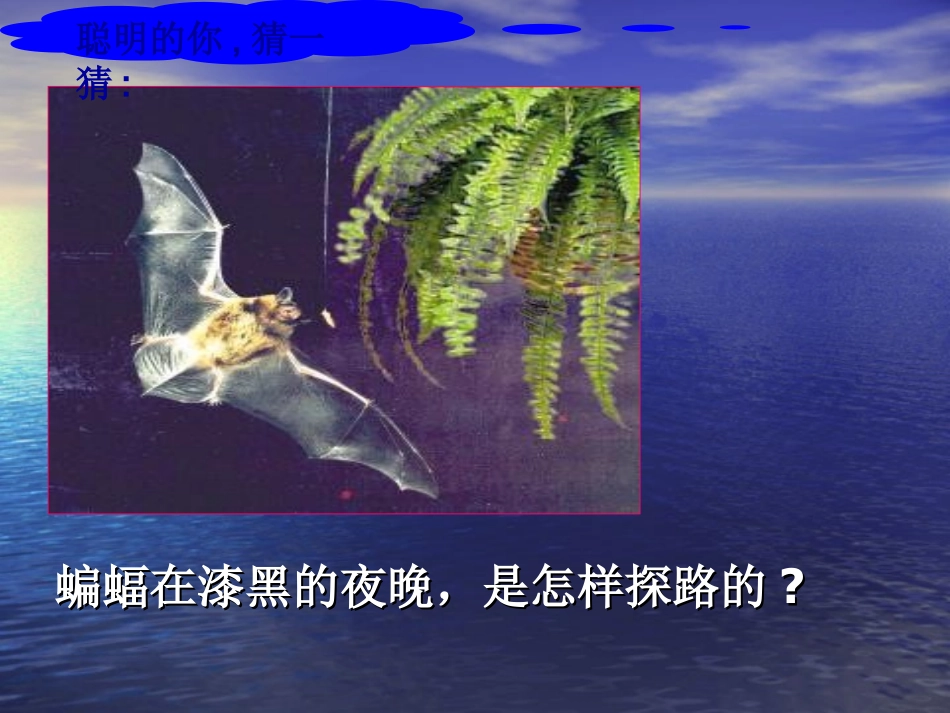 第三节《声音的利用》课件_第2页