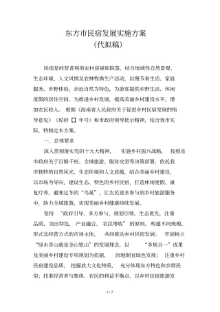 东方民宿发展实施方案