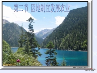 地理：第二节因地制宜发展农业（人教新课标八年级上）
