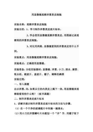 用显微镜观察洋葱表皮细胞