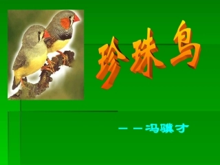 修改珍珠鸟(第一课时）