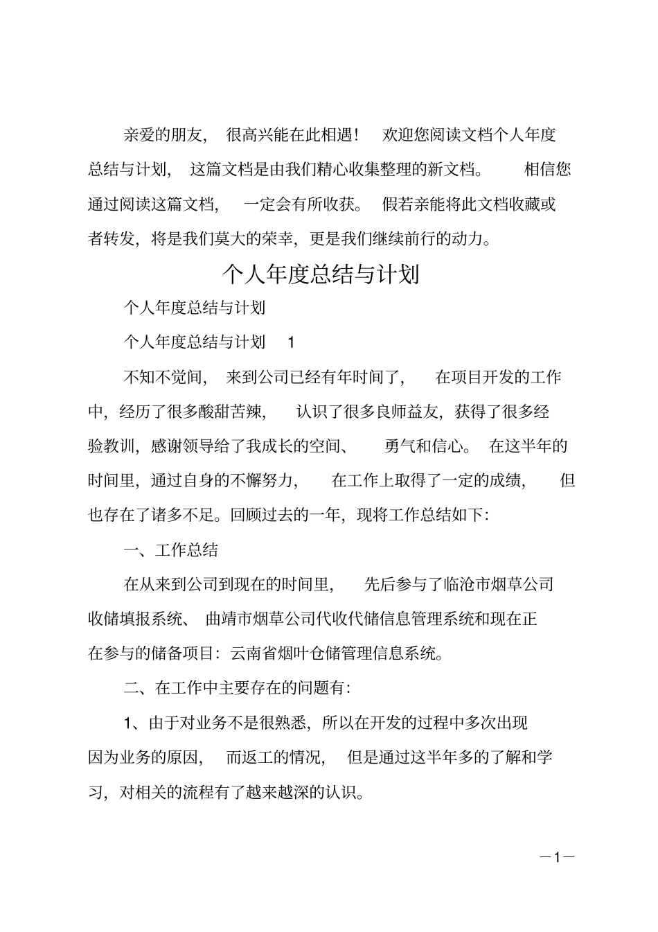 个人年总结与计划_第1页