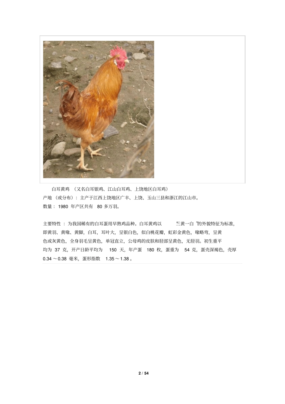 中国最全的鸡的种类资料_第2页
