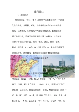 中国石化胜利油田企业简介