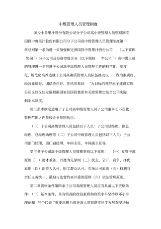 中级管理人员管理制度