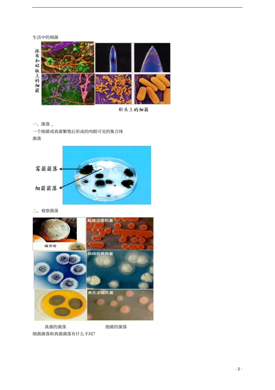 中考生物专题复习十五生物圈中的微生物讲义新人教版_第2页
