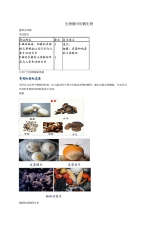 中考生物专题复习十五生物圈中的微生物讲义新人教版