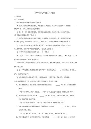 中考语文专题复习专题三词语训练