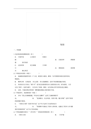 中考语文短语专项能力提升练习含解析