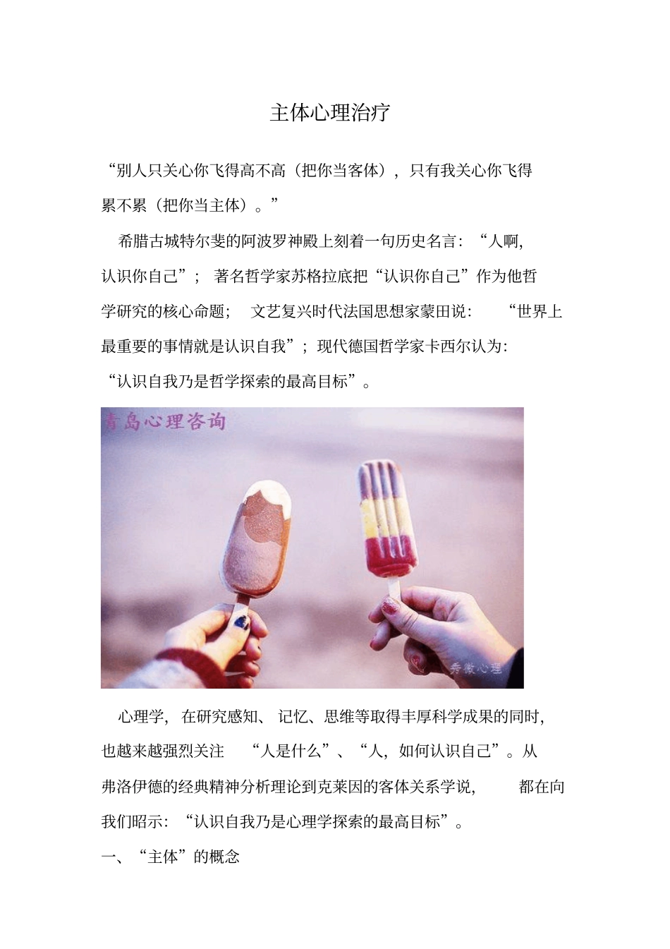 主体心理治疗分析_第1页