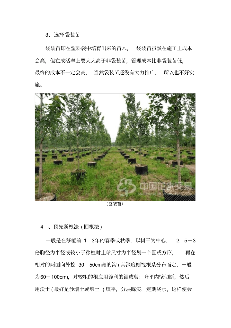 乔木栽植过程技术_第3页