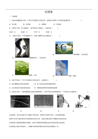 九年级中考物理复习光现象练习卷含答案