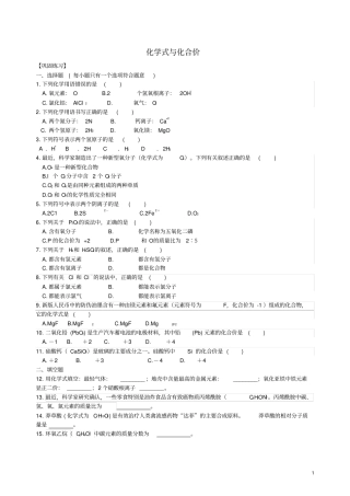 九年级化学上册化学式与化合价习题集训含解析新版新人教版