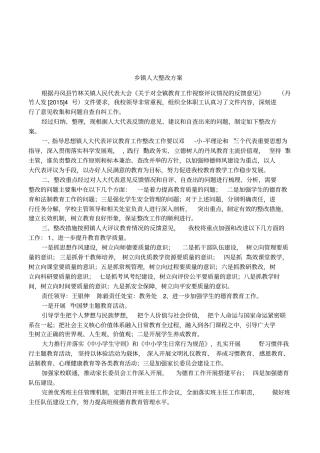 乡镇人大整改方案