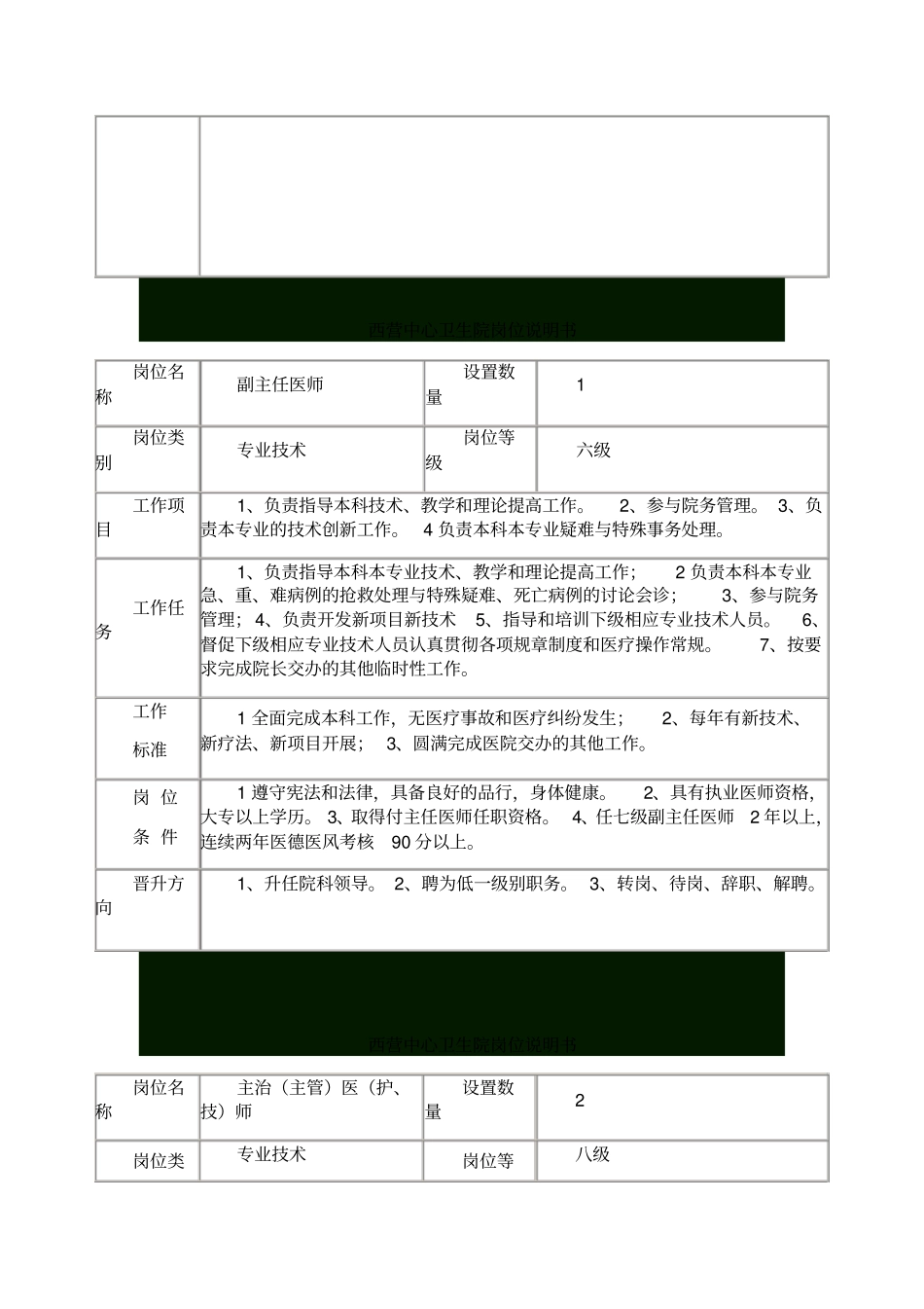 乡镇卫生院岗位职责说明书_第2页