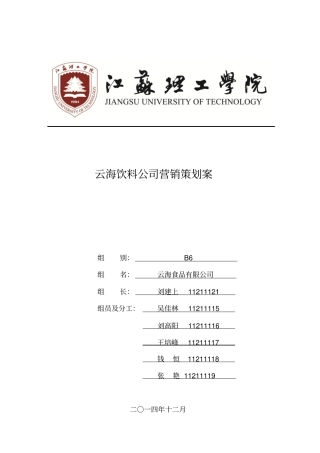 云海饮料公司营销策划案