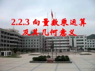 向量共线定理--