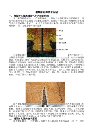 内复式射孔弹介绍
