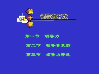 第十章 领导力开发