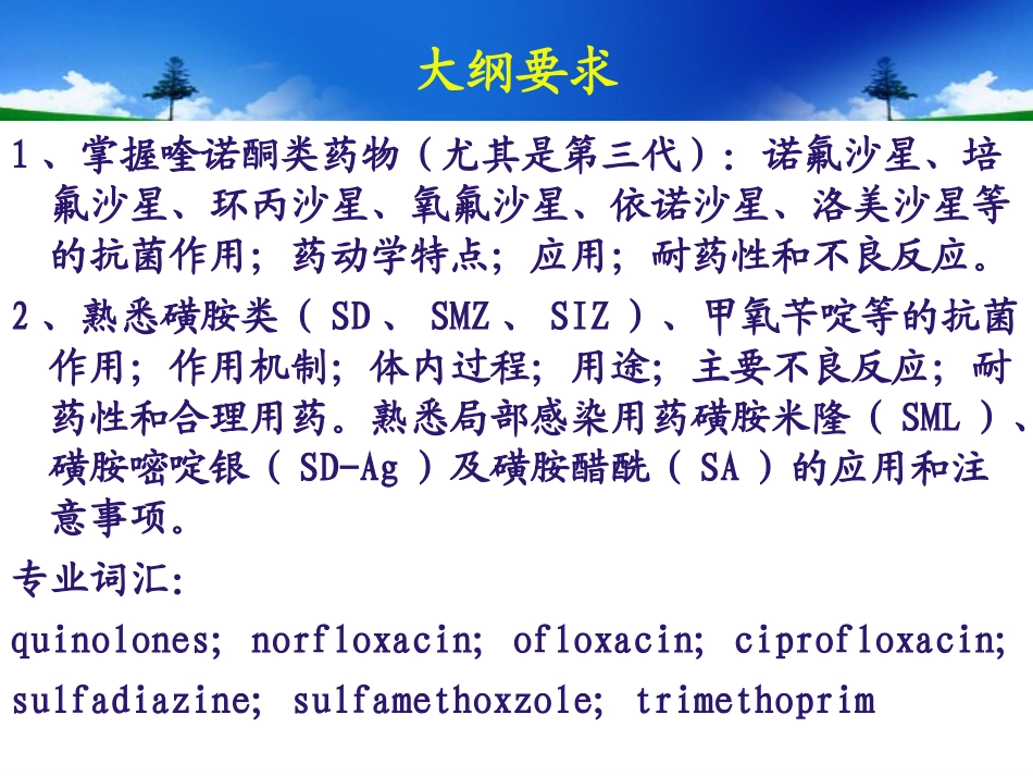 人工合成抗菌药_第2页