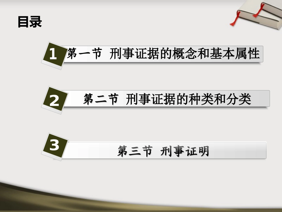 第十章   刑事证据制度_第2页