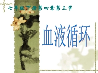 生物公开课血液循环课件