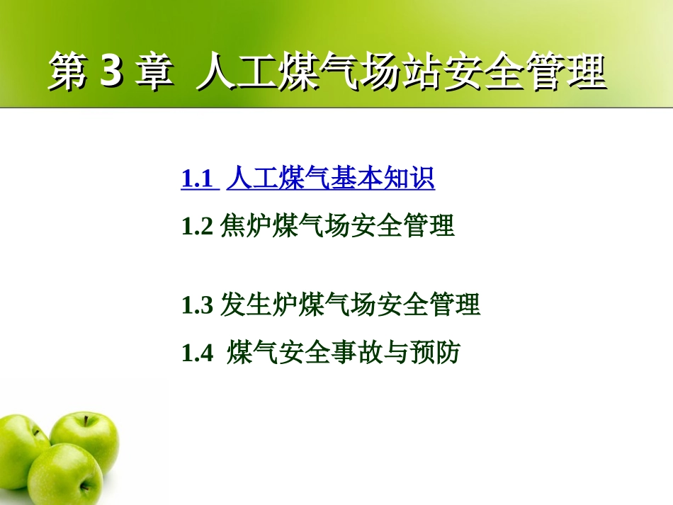 人工煤气基本知识_第2页