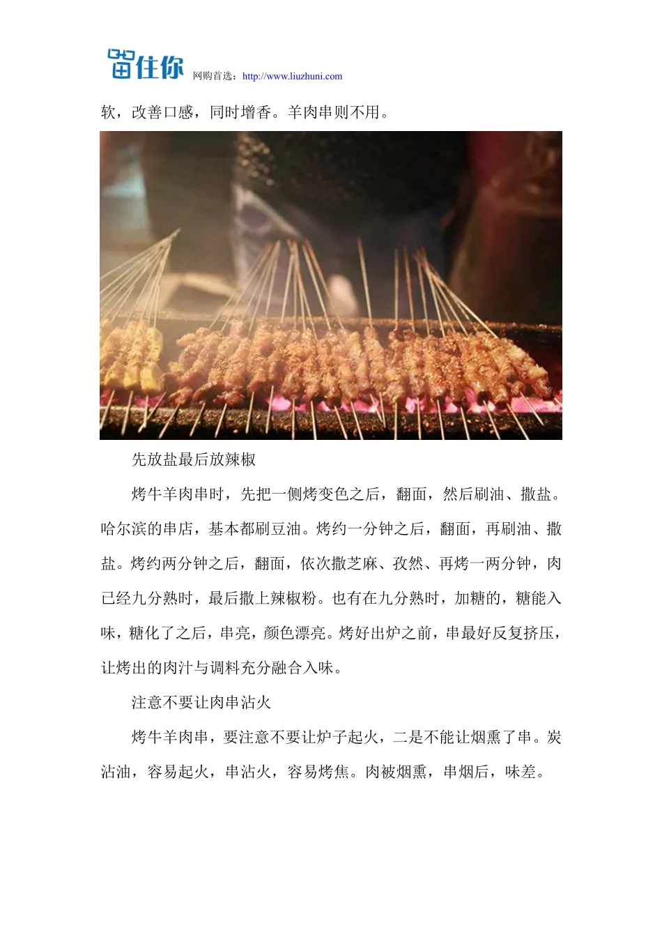 如何烤羊肉串_第3页