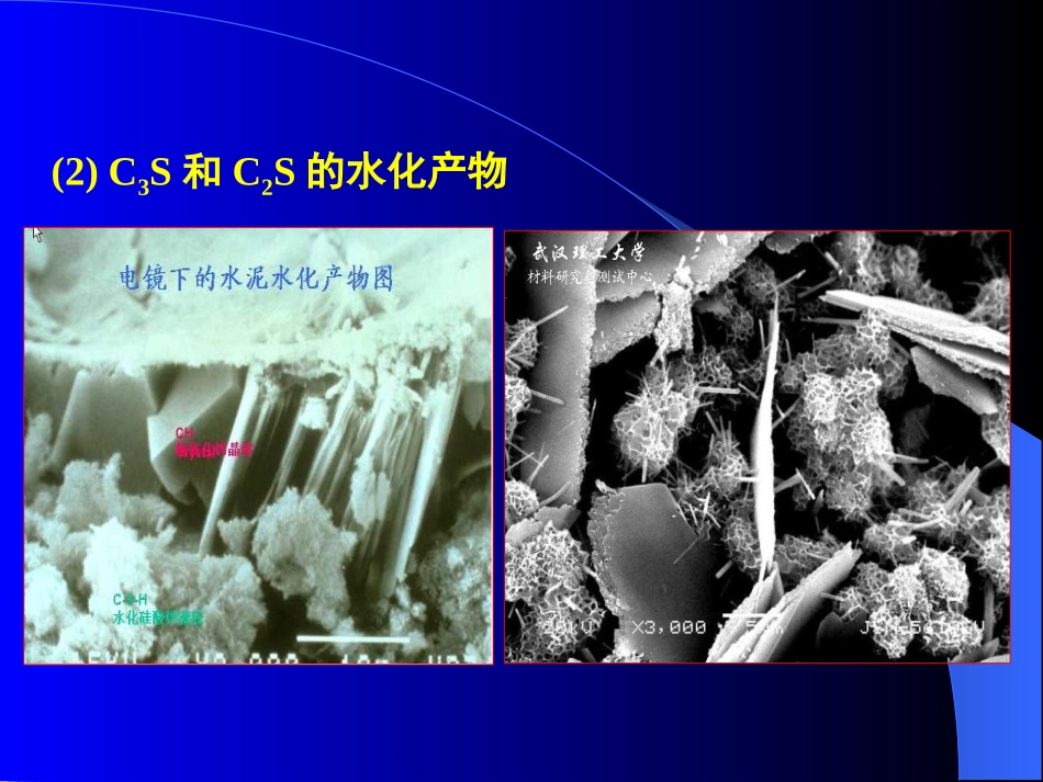 C3S水化特性_第3页