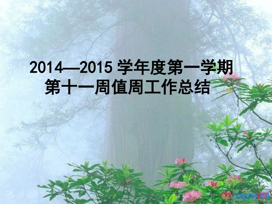 第十一值周工作总结_第1页