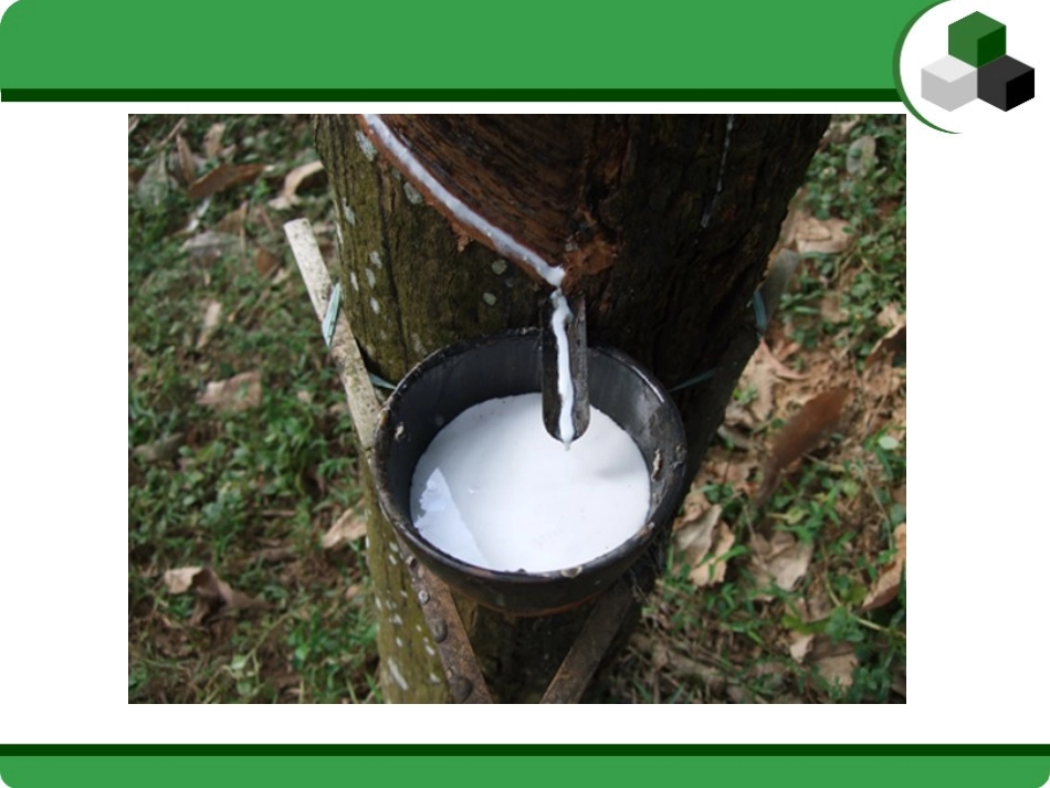 世界天然橡胶的生产和贸易_第2页