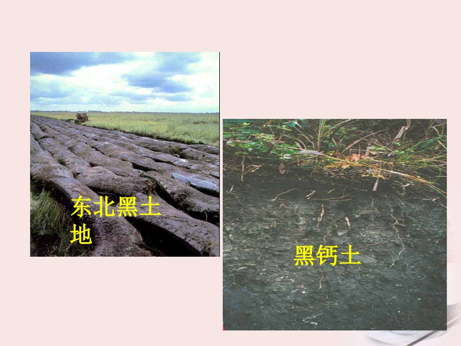 三年级科学下册 我们周围的土壤 4课件 苏教版_第2页