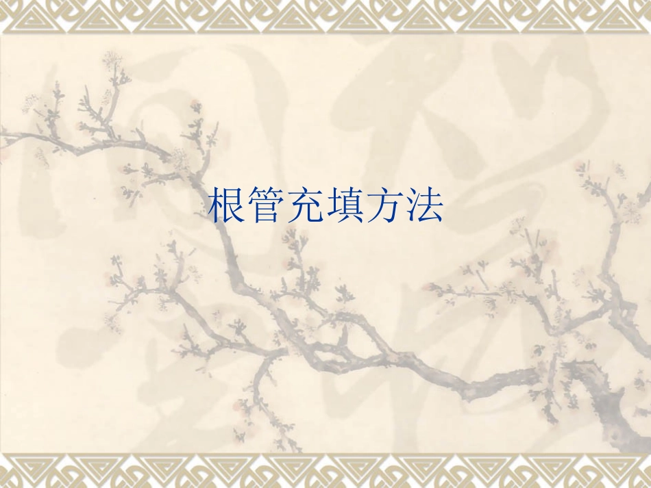 根管治疗术充填方法  yue_第1页