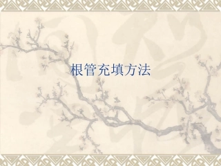 根管治疗术充填方法  yue