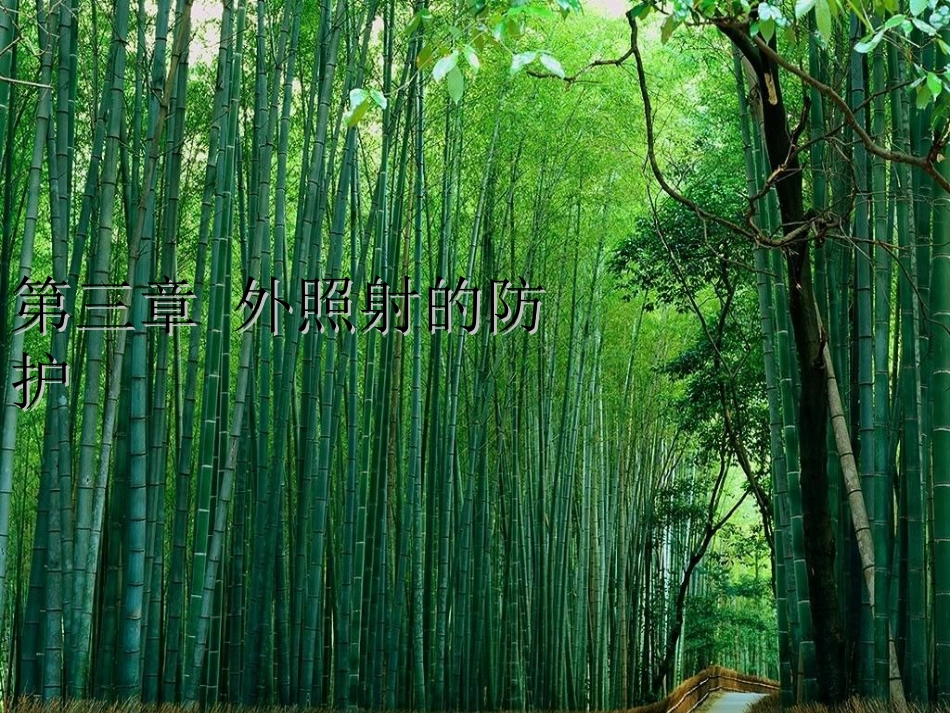 辐射防护8.1_第1页