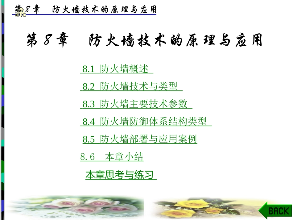 防火墙技术的原理与应用_第1页