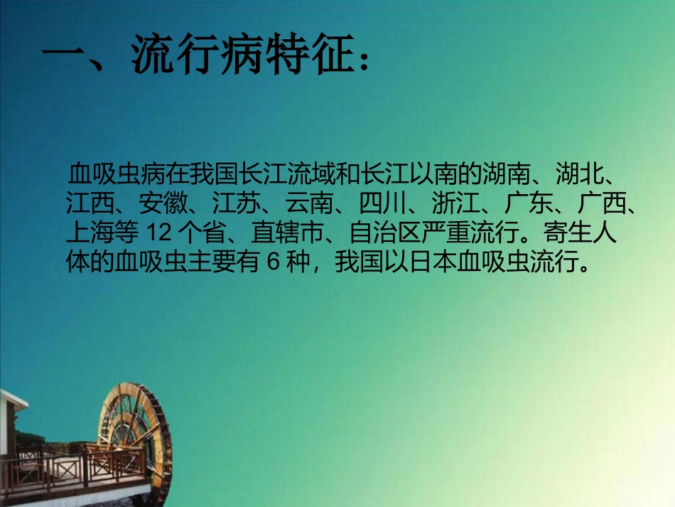 血吸虫肝硬化_第2页
