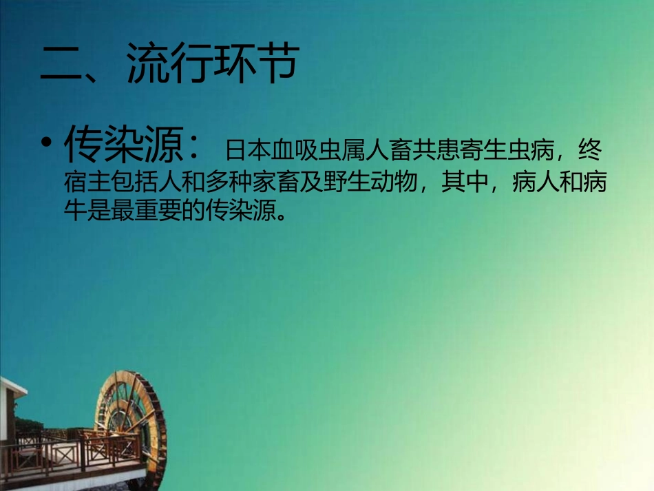 血吸虫肝硬化_第3页