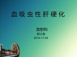 血吸虫肝硬化