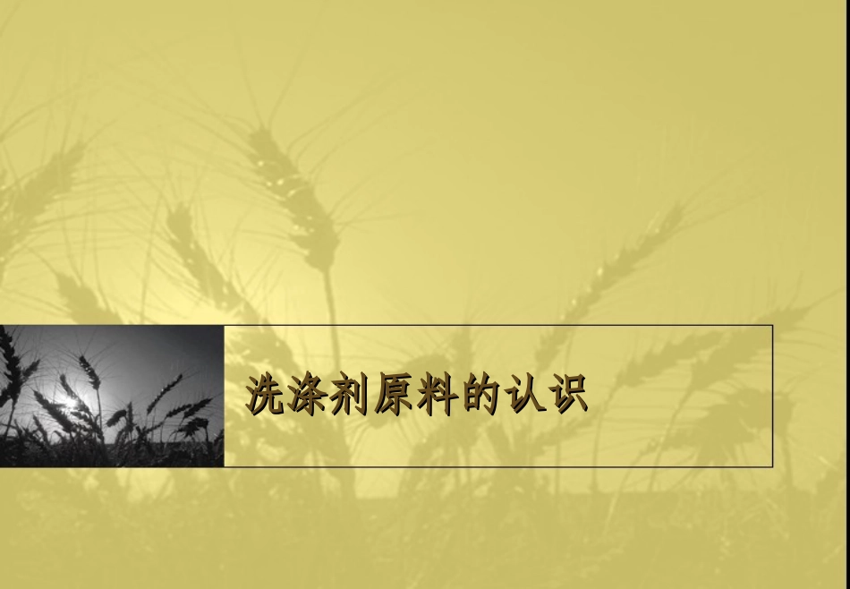 洗涤剂原料的认识_第1页