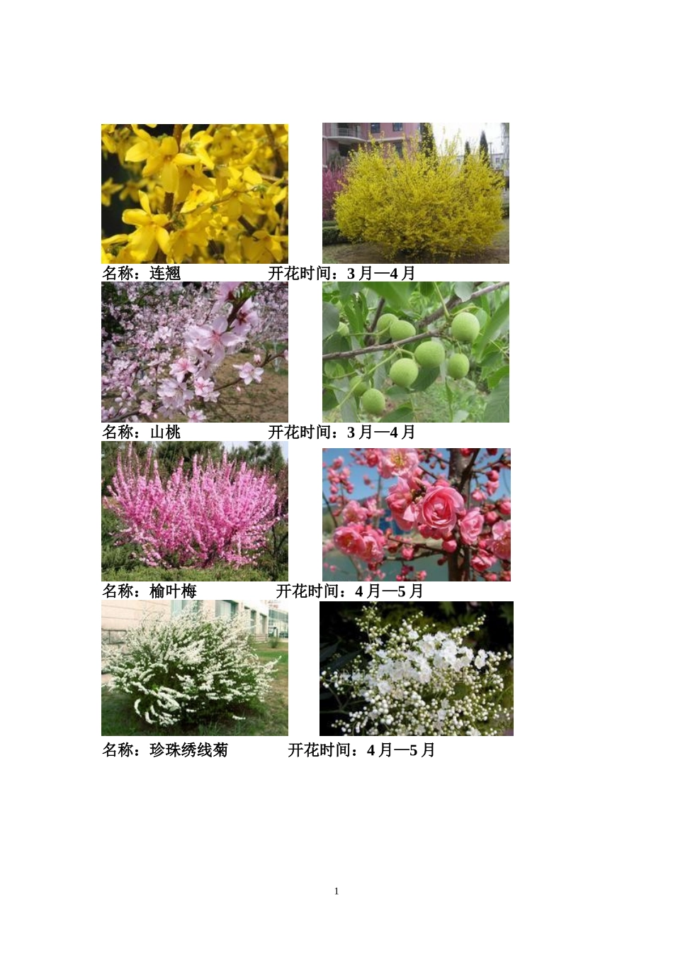 花灌木开花时间_第1页