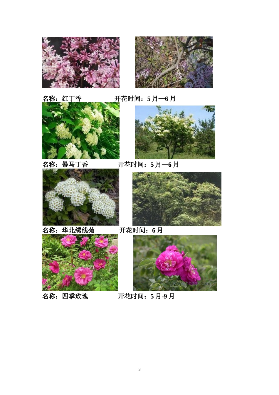 花灌木开花时间_第3页