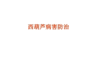 西葫芦病害防治