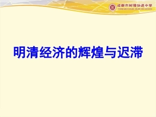 高三专题复习明清经济的辉煌与迟滞2013.11.22