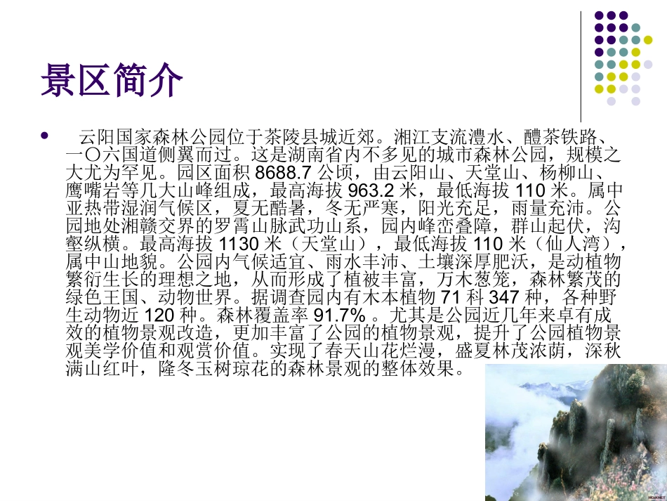 株洲云阳国家森林公园景区营销策划_第2页