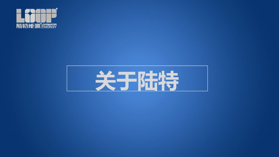 陆特能源企业简介_第2页