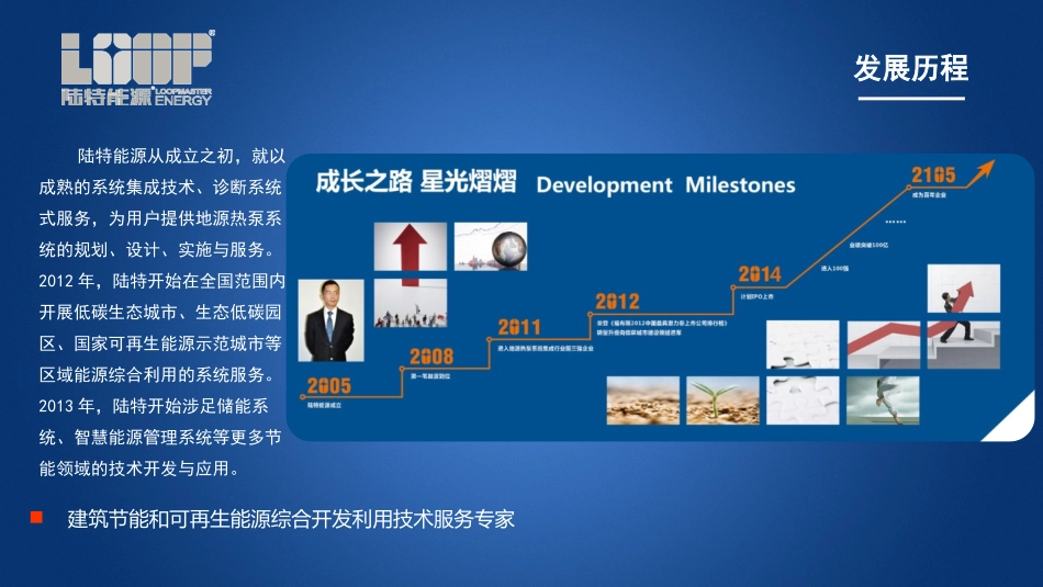 陆特能源企业简介_第3页